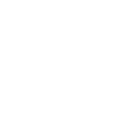 JUVENTUS FC Scudetto