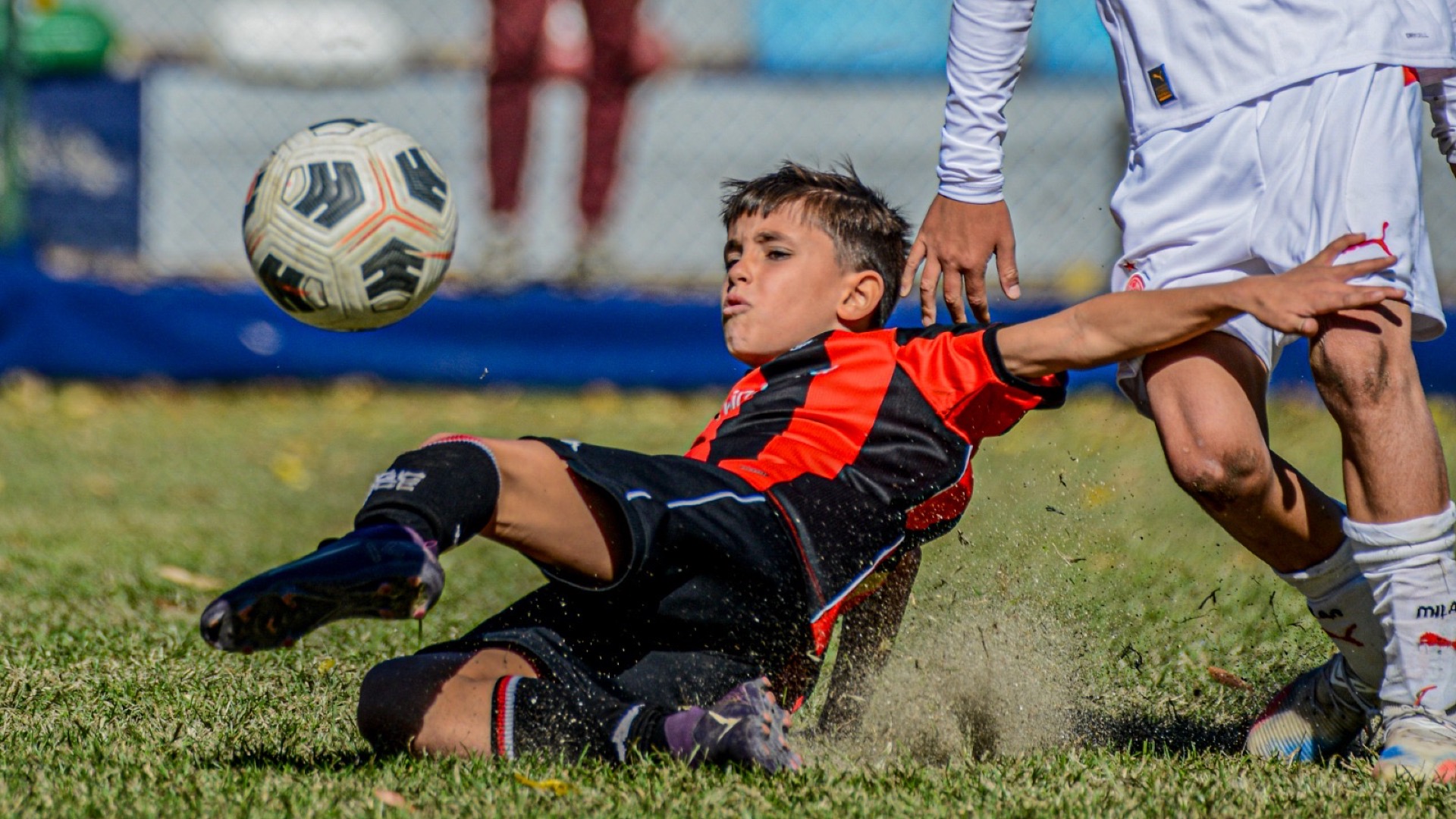 THE GLOBE featured image