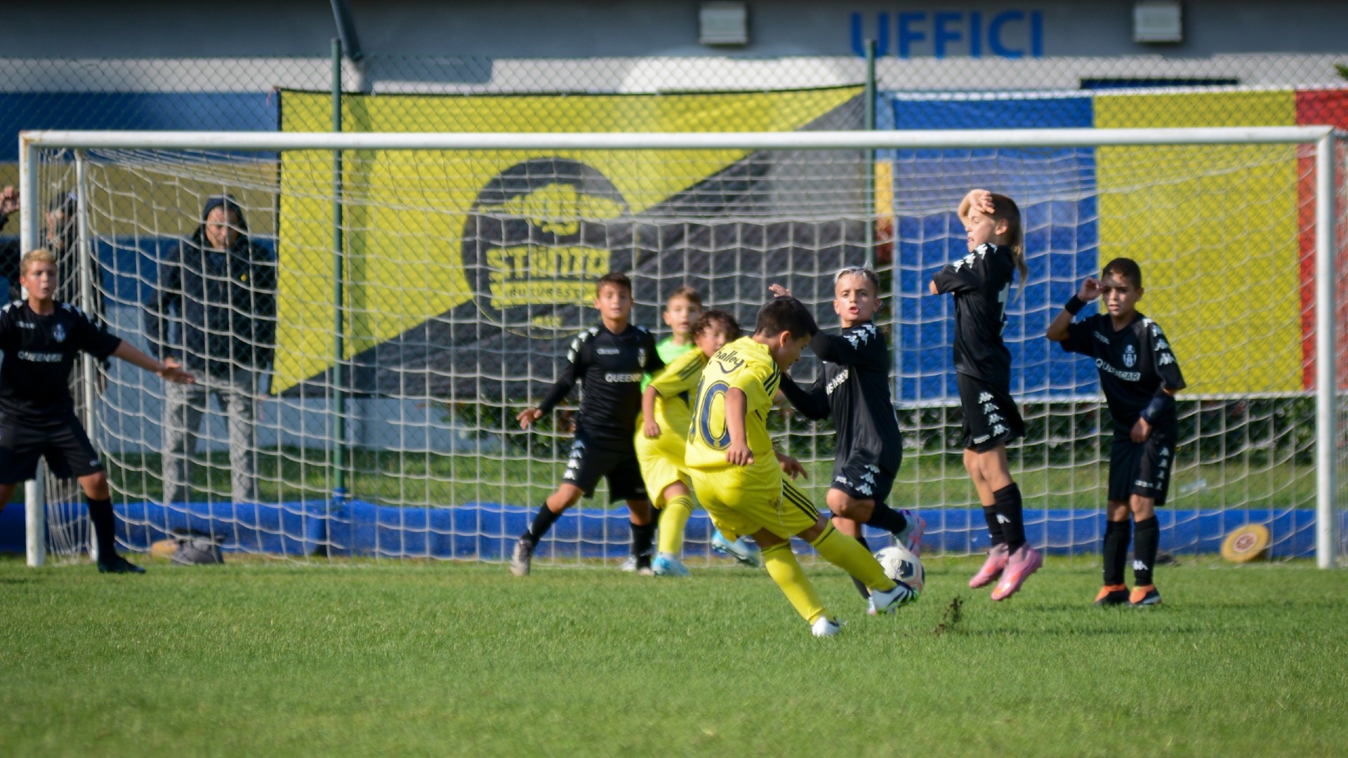 GENESIS CUP featured image